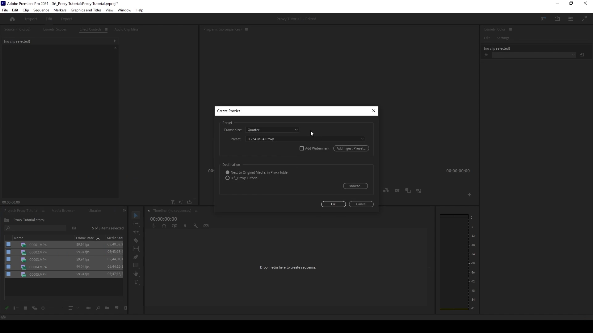 Premiere Pro - Creating proxy files